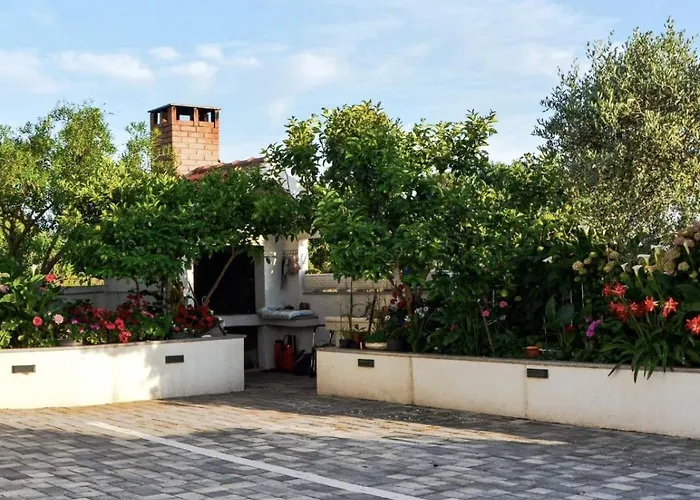 Deluxe Look زادار