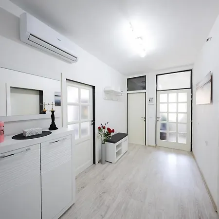 Deluxe Look * 扎达尔