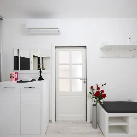 公寓 Deluxe Look 扎达尔