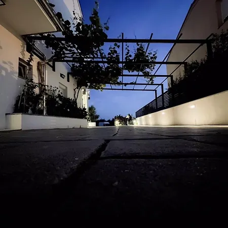 Deluxe Look 扎达尔