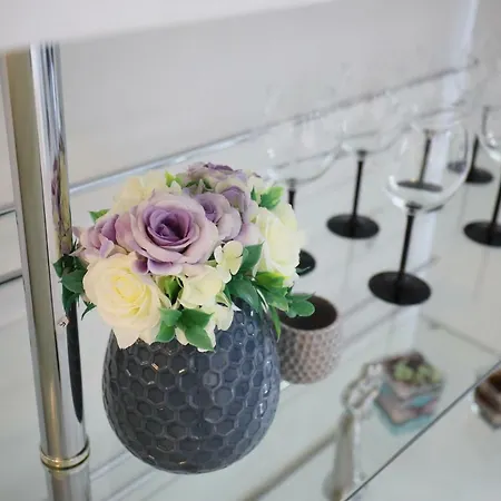 Deluxe Look * 扎达尔