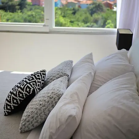 Deluxe Look 公寓 扎达尔